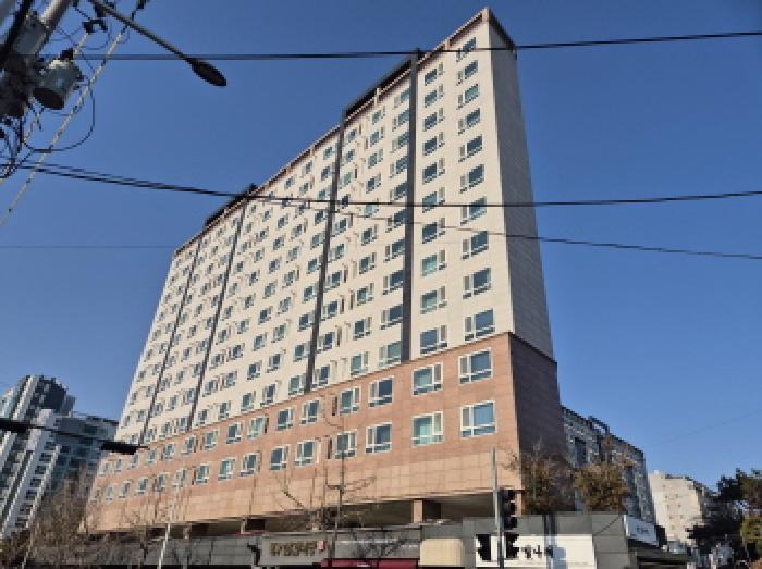 사진 12