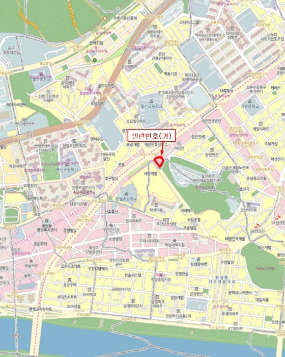 사진 4