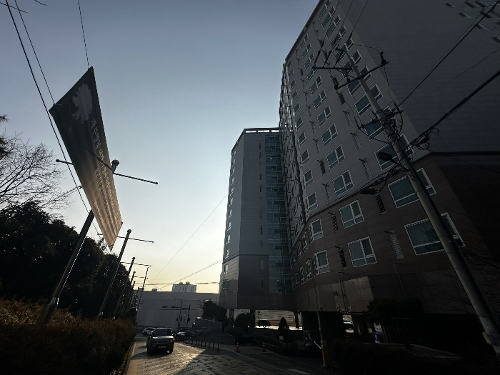사진 5