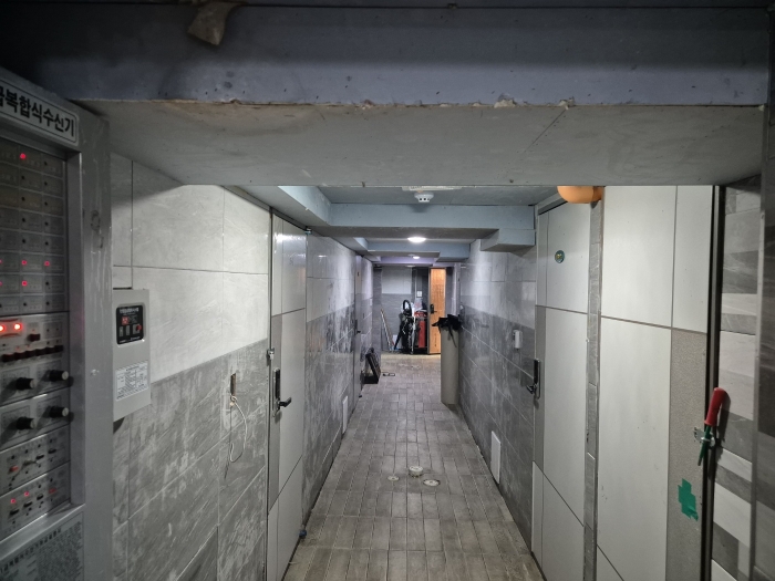 사진 41