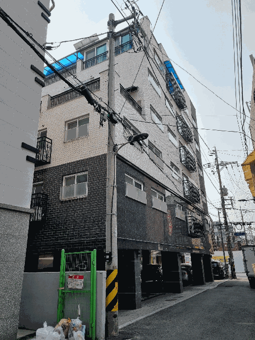 사진 7