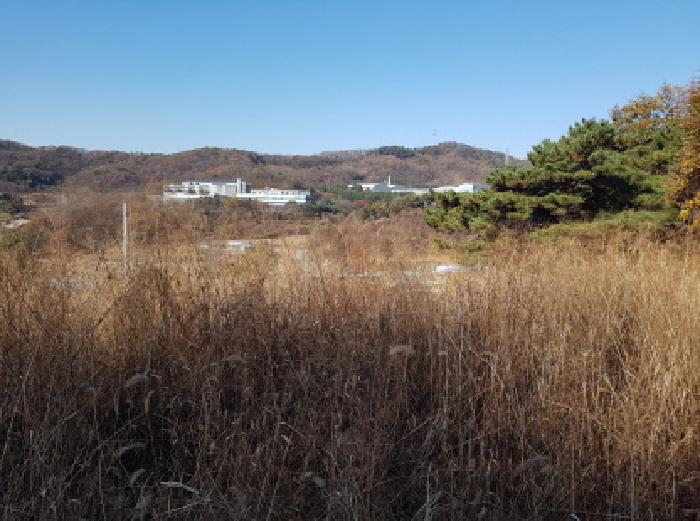 사진 2