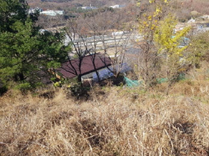 사진 17