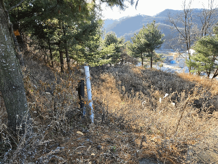 사진 43