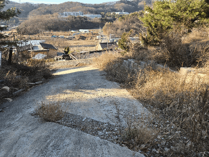 사진 45