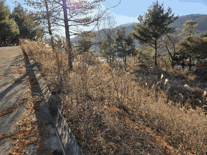 사진 54