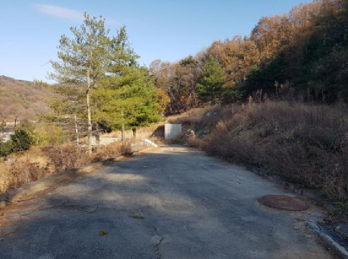 사진 9