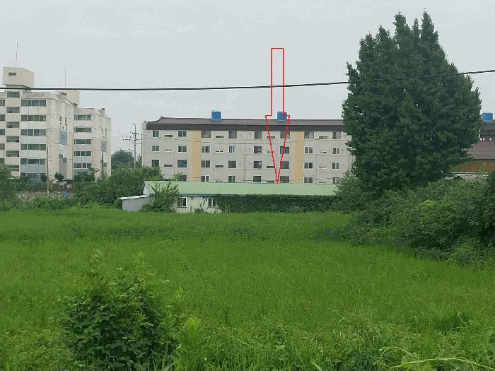 사진 11