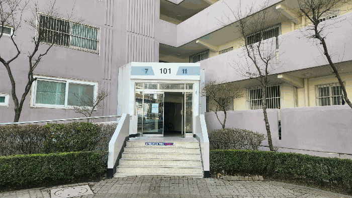 사진 12