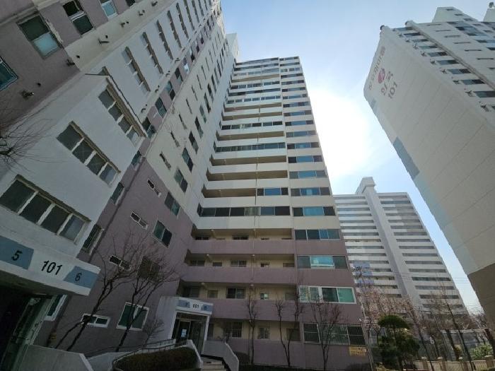 사진 2