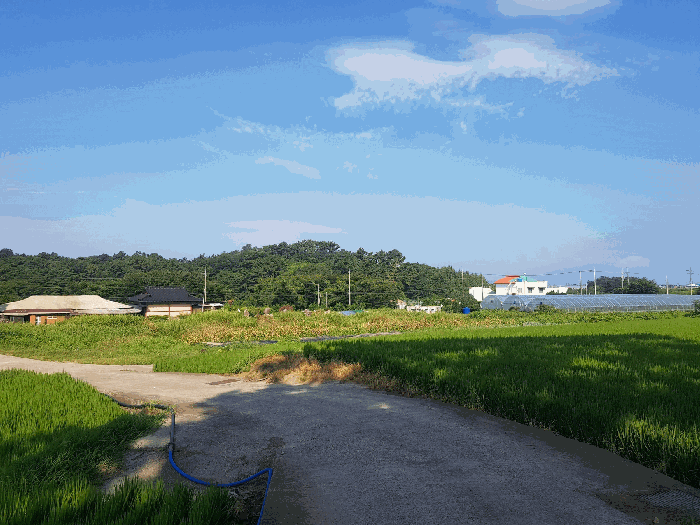 사진 6