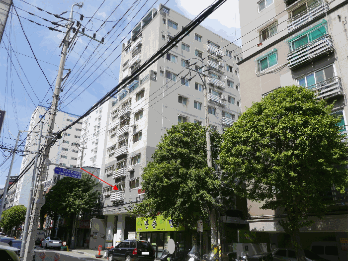 사진 10