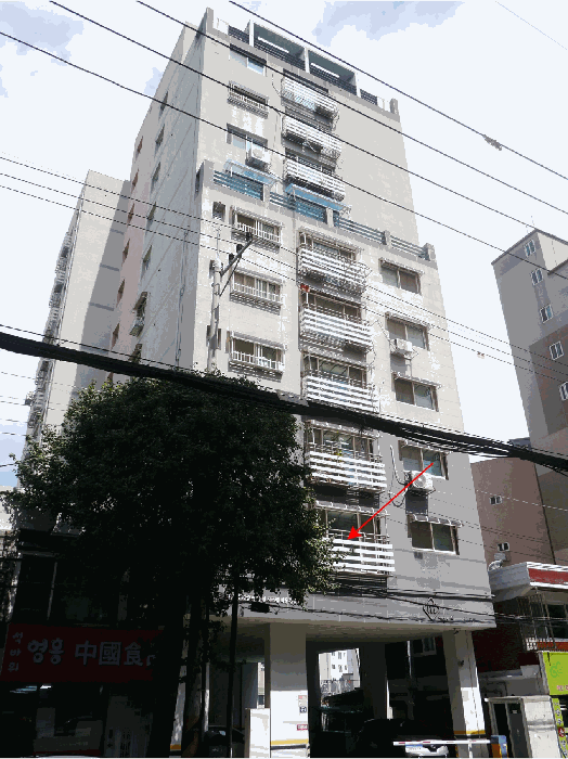 사진 7
