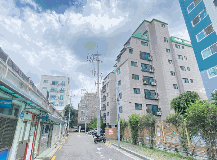 사진 9