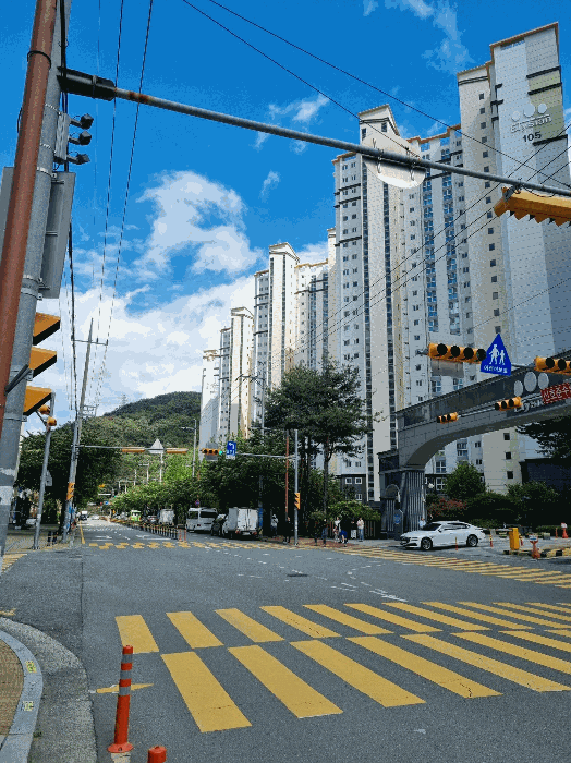 사진 5