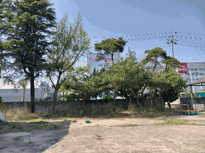 사진 40