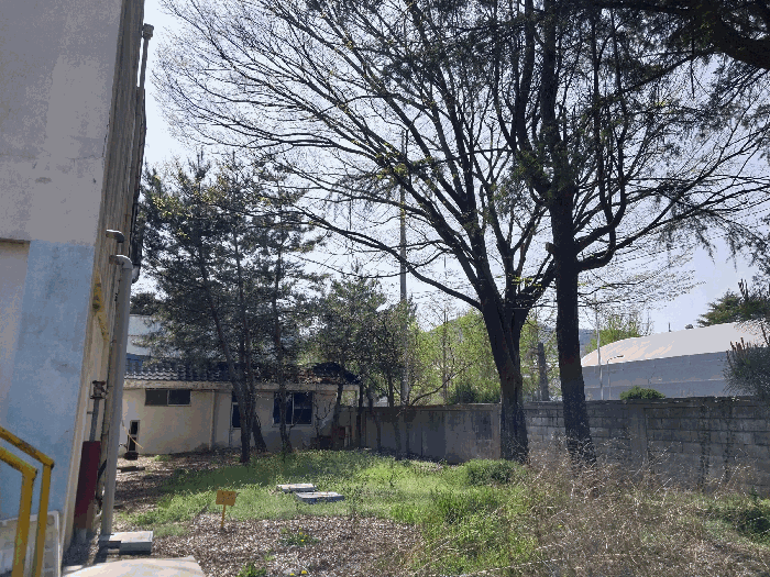 사진 53