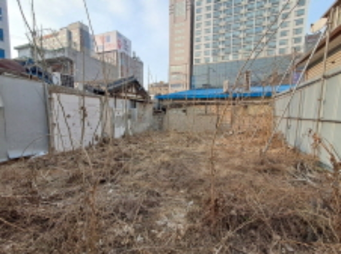 사진 3