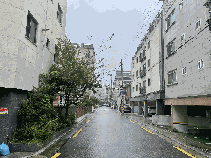 사진 11