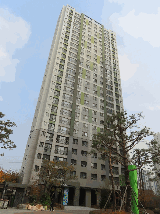 사진 7