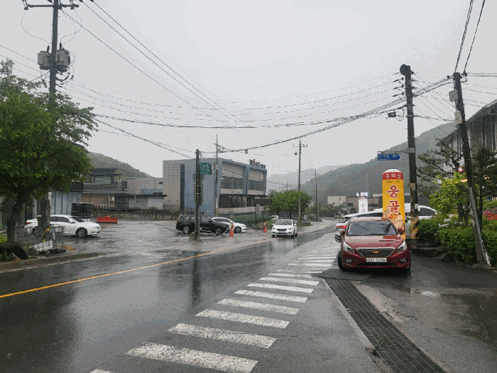 사진 19