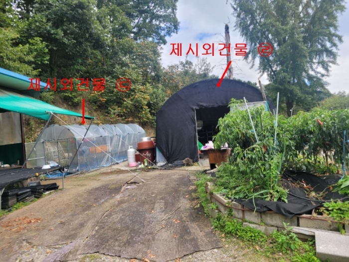 사진 10