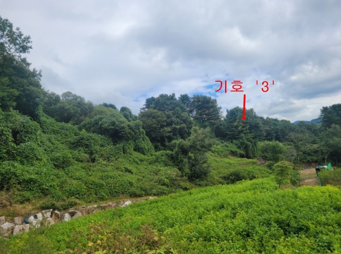 사진 13