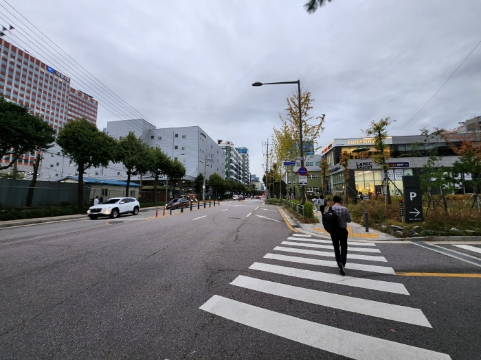 사진 12