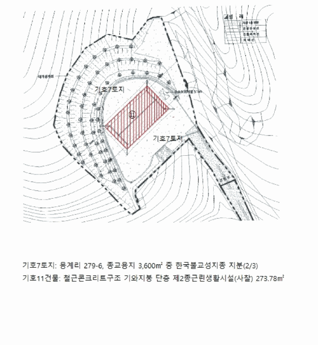 사진 13