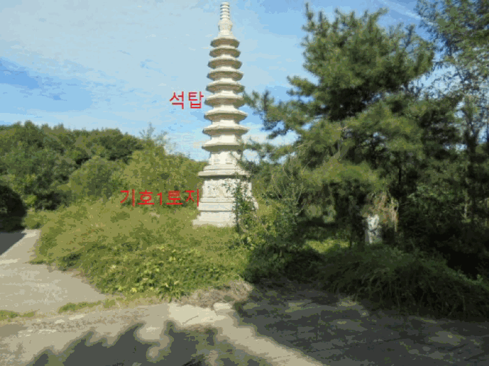 사진 22