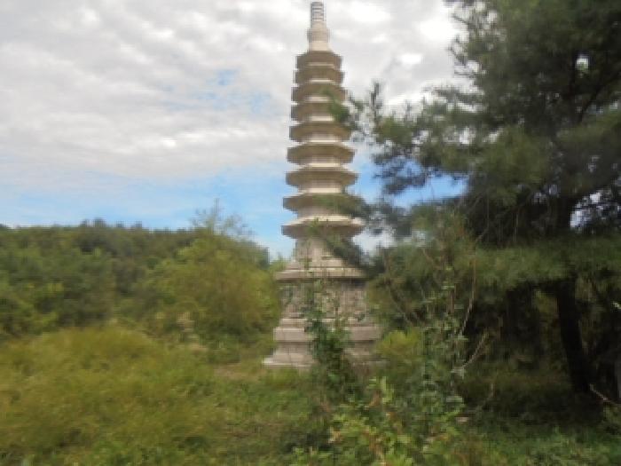 사진 3