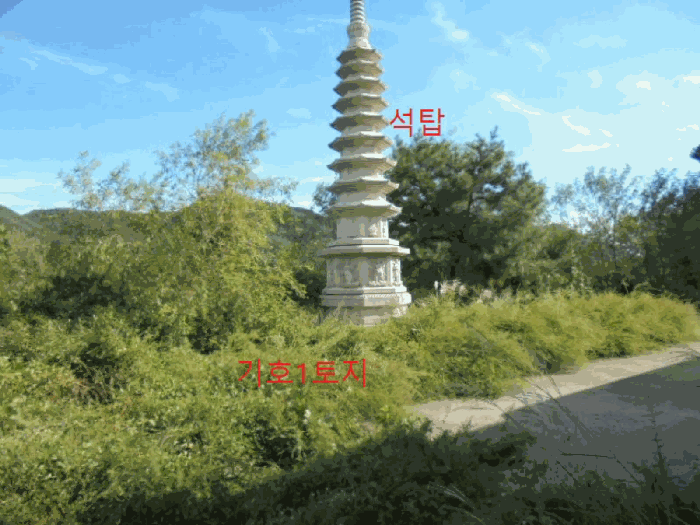 사진 36