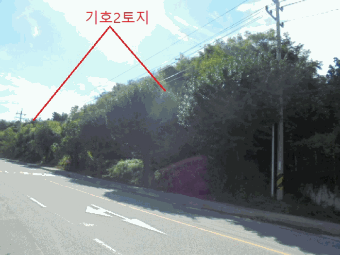 사진 38