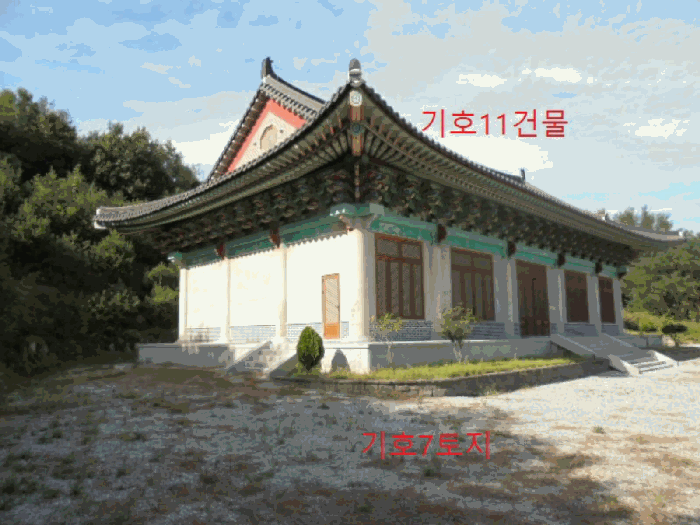 사진 41