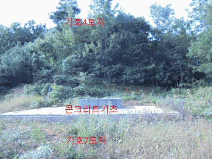 사진 43