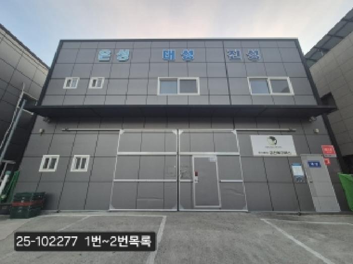 사진 10