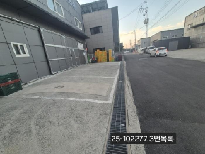 사진 12