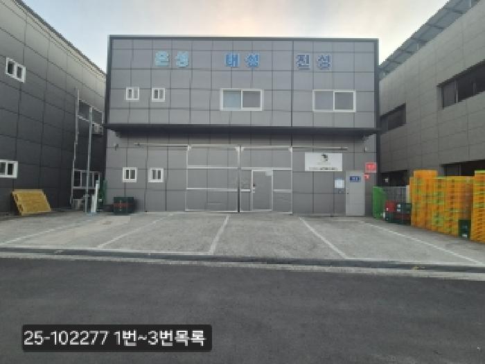 사진 9