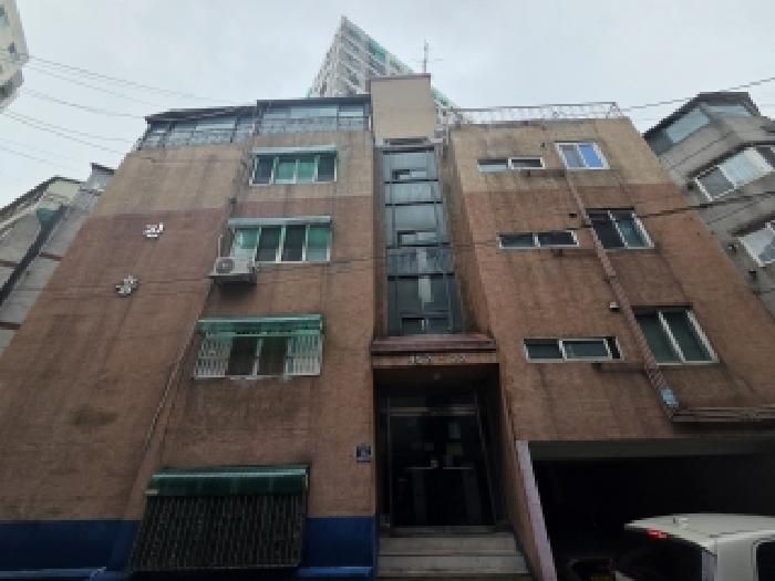 사진 11
