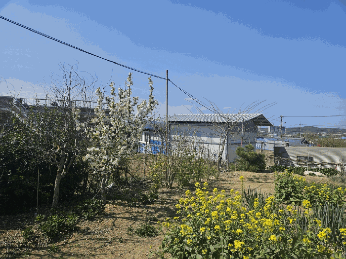 사진 11