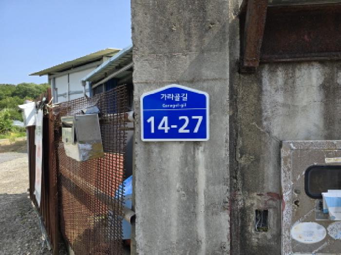 사진 24