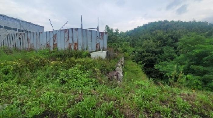 사진 10