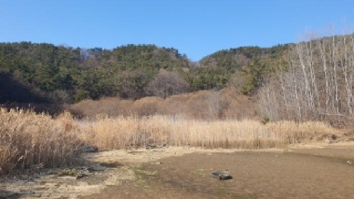 사진 8