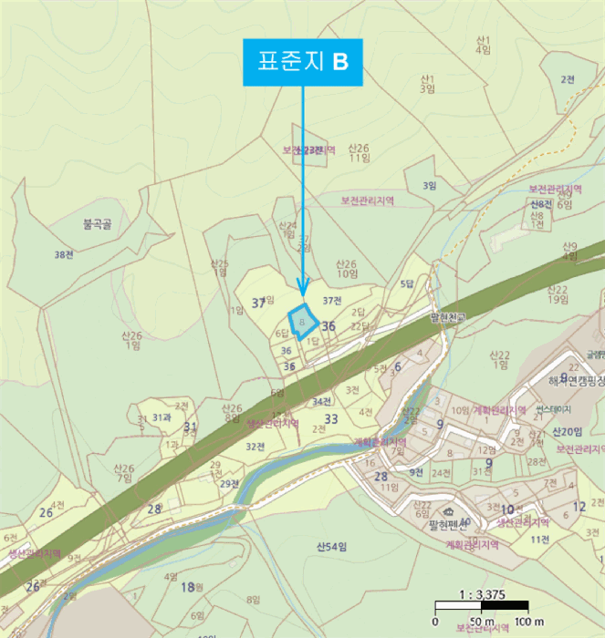 사진 7