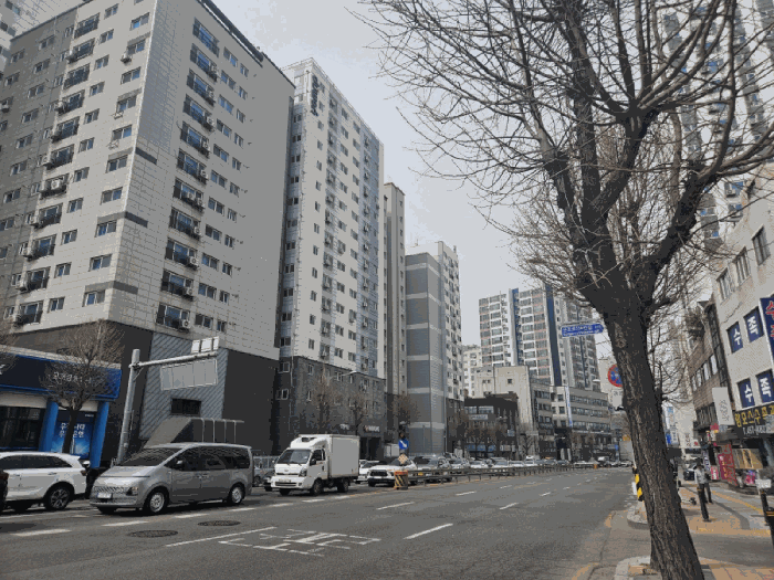 사진 11