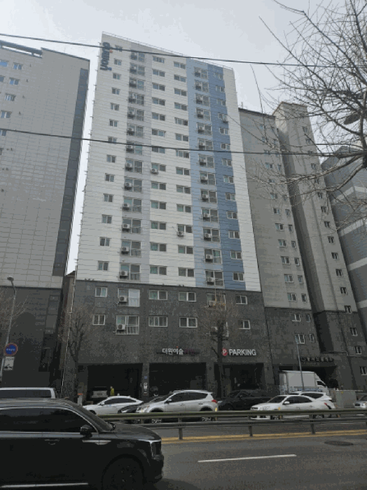 사진 5