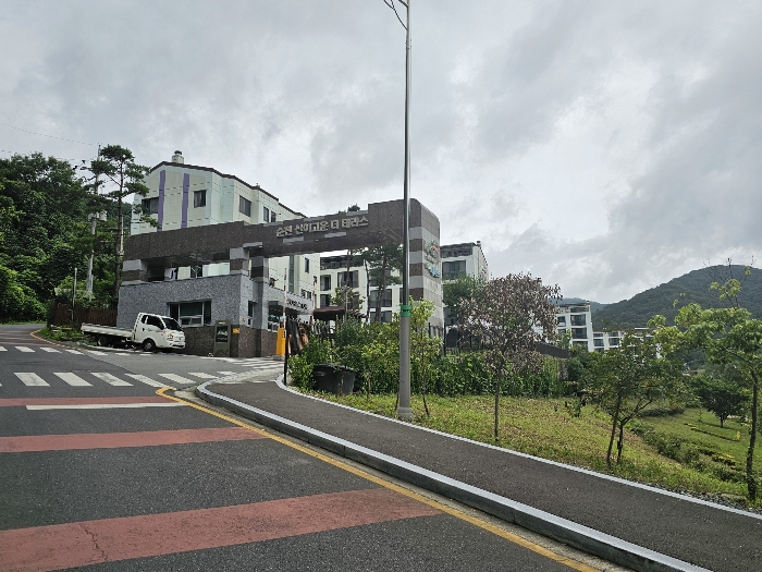 사진 13