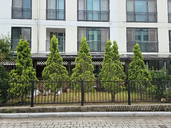 사진 8