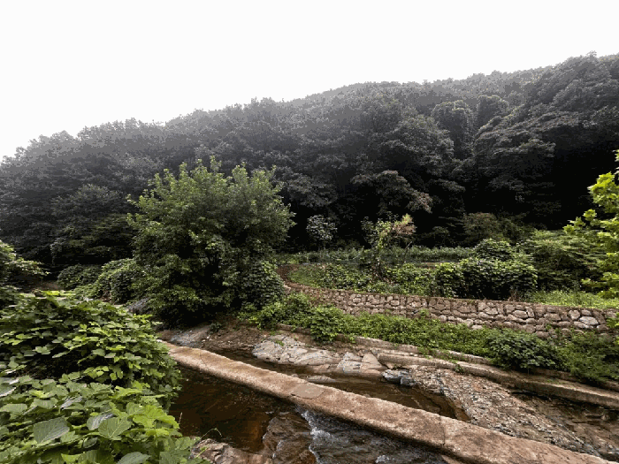 사진 1