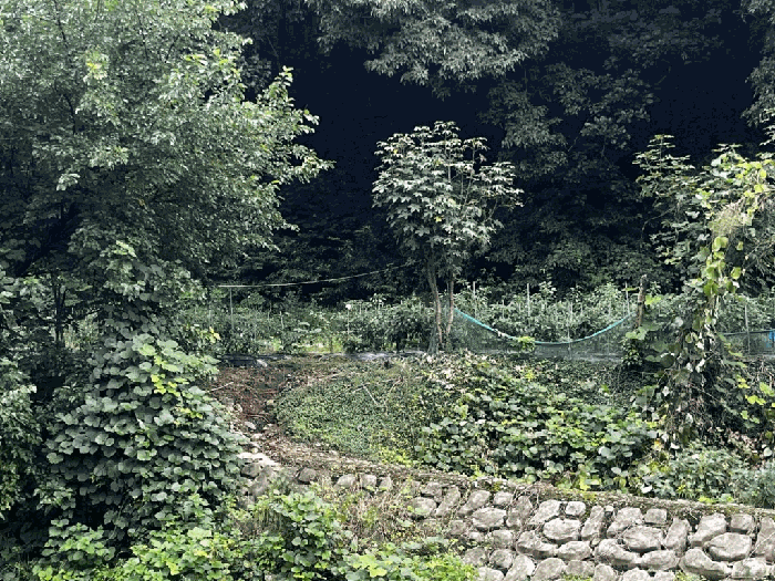 사진 6